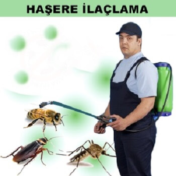 Besni Böcek İlaçlama